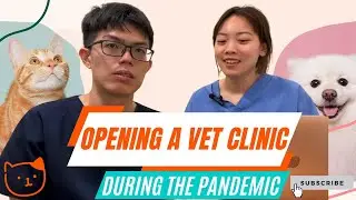 Struggles from Opening a Vet Clinic in Singapore? 🇸🇬 (Ft. @MayYean) | Deep Dive Interview