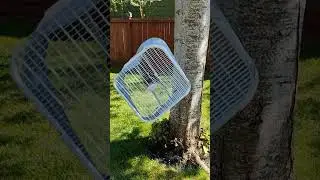 Box Fan vs Tree - Dead 2012 - 13 Lasko 3733 box fan #tree #destruction #lasko