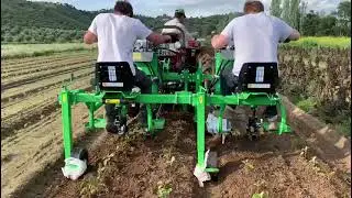 Sarchiatrice MAYA FM2T   peperone