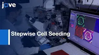 Stepwise Cell Seeding On Tessellated Scaffolds To Study Sprouting Blood Vessels l Protocol Preview