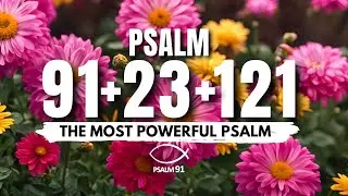 [🙏NIGHT PRAYER!] PSALM 91 PSALM 23 PSALM 121