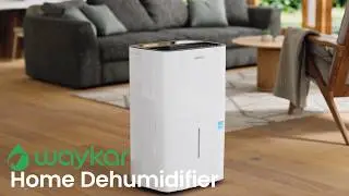 Waykar High-Capacity Dehumidifier with Energy Star Certification