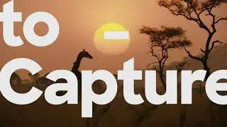 Discovery Rebrand 2019