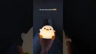 I&rsquo;m in love with it 🥹🐥 #cute #duck #lamp #beauty
