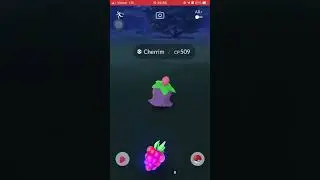 Catch #421.4 - Cherrim Overcast form | Pokemon GO