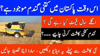 Wheat situation in Pakistan | how much wheat should be cultivated in 2024 | Total stock of wheat |