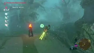 Korok Mask Location