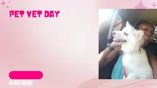 STORM'S FIRST VET VISIT / PUPPY HEALTH CHECK UP AND REACTIONS/ WAS HE A GOOD BOY?