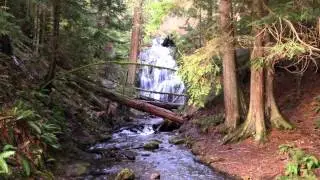 Moran Park