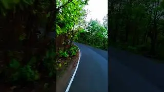 বর্ধমান ফরেস্ট ছোরা রোড | Bardhaman chhora road #shorts #song #roadtrip