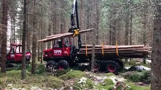 Forwarder Porteur Terri C34