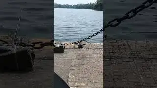 beleghata Lake update 75on