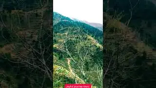 beauty of shangla hills #shorts #youtubeshorts #travelwithus