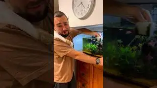 Dia de fazer manuten&ccedil;&atilde;o no aqu&aacute;rio &eacute; as vezes &eacute; dif&iacute;cil, mas depois o resultado vem 🐠🐡