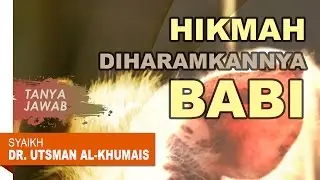 Tanya Jawab: Hikmah Diharamkannya Babi - Oleh Syaikh Dr. Utsman Al Khumais