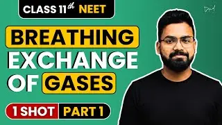 Episode 1: Breathing and Exchange of Gases | Class 11 NEET Biology | FACTION NEET