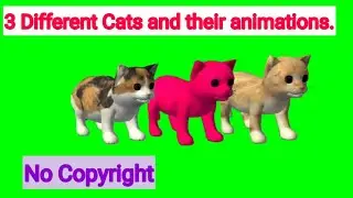 Cat green screen images | Free to use | Walking, running, sound, eating,   sitting..