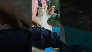 3 vealai sothukaga  etha kodumaila ajas pannurn