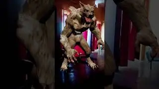 jackal sound#viral #youtubeshorts #trending #ytshort #jackal #