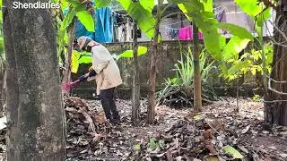 Backyard cleaning #shendiaries 