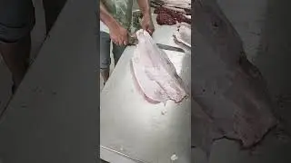 vetki mach cutting