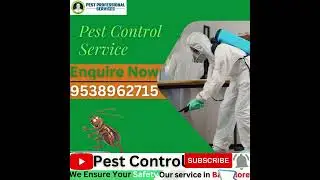 Pest Control Service 48