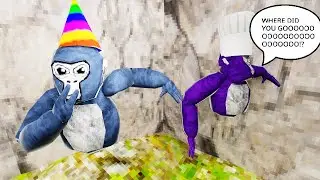 Join Me and Mr. Avocado In Gorilla Tag!