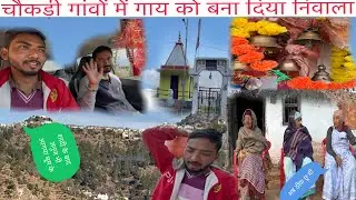 ||चौकड़ी गांवों में एक गाय को बना दिया निवाला😱||दादी का भी स्वास्थ्य अब ठीक है||