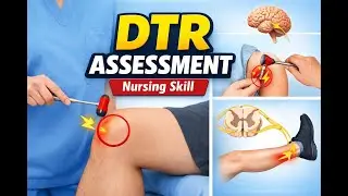 Deep Tendon Reflex Assessment (DTR) | Patellar & Biceps Reflex | Nursing Clinical Skills