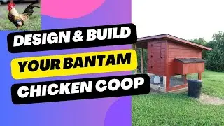 How To Design & Build Your Bantam Chicken Coop