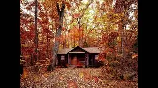 Walk Through Country Crunchy Autumn Leaves Ambience / Fall Birds Chirping Footsteps ASMR / 10 Hour