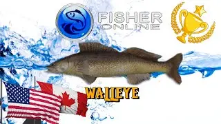 Fisher Online Trophy -- WALLEYE -- USA/CANADA 1000 ISLANDS