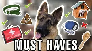 First Time Dog Owner Essentials | Check List For Your Dog | Whats in my Doggy Bag