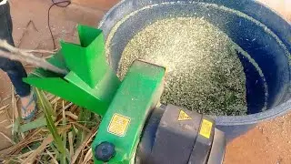 Forrageira Moendo capim e Maniva! (RAÇÃO VERDE) TRF 400F caixa cheia em 3 minutos (👇👇)