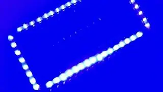 Disco License Plate Frame (Blue)