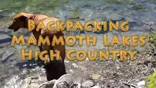 Backpacking Mammoth Lakes High Country