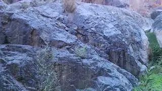 Darwin Falls, Death Valley National Park, October 27, 2025. 