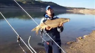carpones