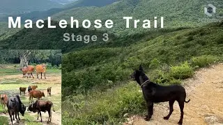 MacLehose Trail Stage3.    The MacLehose Trail is a 100km hiking trail. Location:New Territories,HK