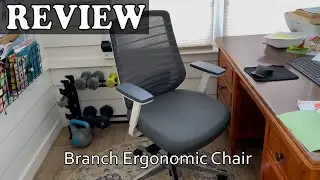 Branch Ergonomic Chair Review