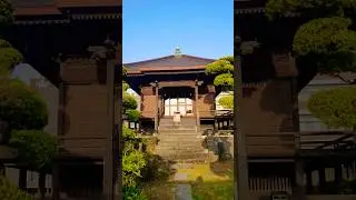 山鹿市「さくら湯」は壮大な歴史と市民の憩いの場としての役割を担っていますが、その隣にある「薬師堂」もまた、山鹿温泉の歴史と深く結びつき、住民たちの切なる願いが込められた場所です