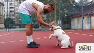 SaniPet&trade; Pet Safe Sanitizing Coat and Paw Spray