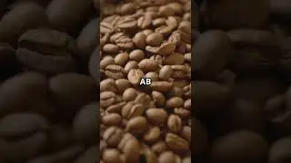 Kenya's Coffee Beyond Safaris!-#KenyanCoffee #AAAB #CoffeeKnowledge