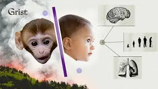 What an accidental study revealed about our health