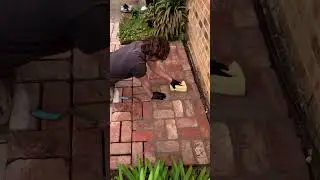 Grouting brick paving.  #landscaping #diy