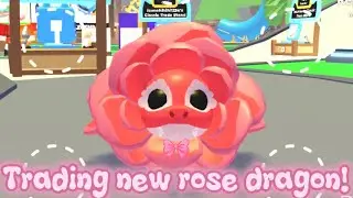 TRADING ROSE DRAGON!!!