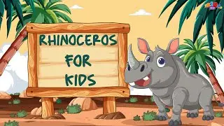 Rhinoceros for Kids 🦏 | Fun Facts About Rhinos | Kids Hour Animal Adventures