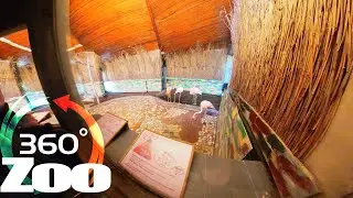 360 Video VR | Riga Zoo 8k