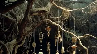 Language of trees, melody, bedtime story 