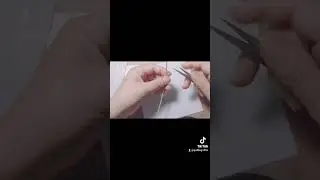 Các kiểu tạo hình cơ bản cho người mới làm quilling